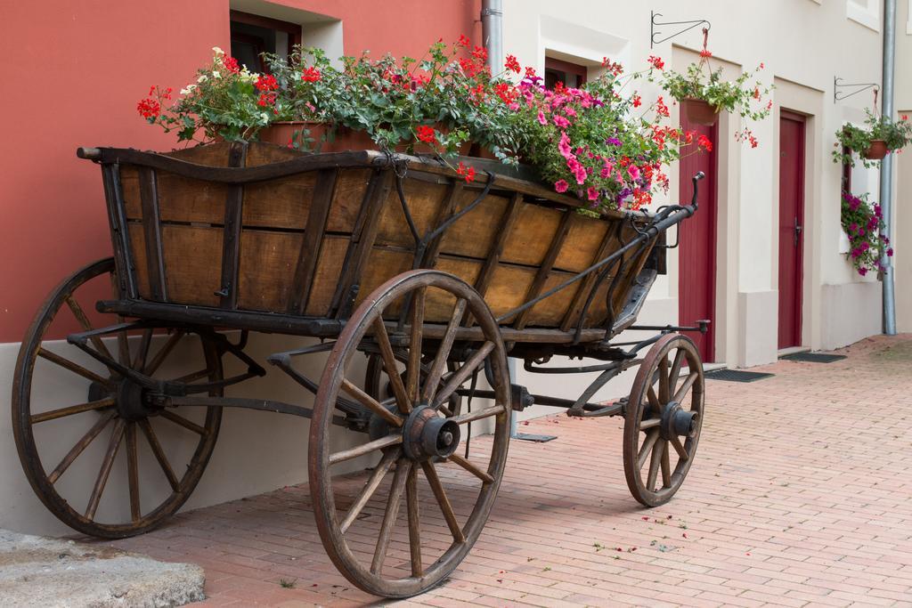 Hotel Dvur Hoffmeister Velke Cicovice Экстерьер фото